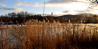 Ilmenau und Umgebung